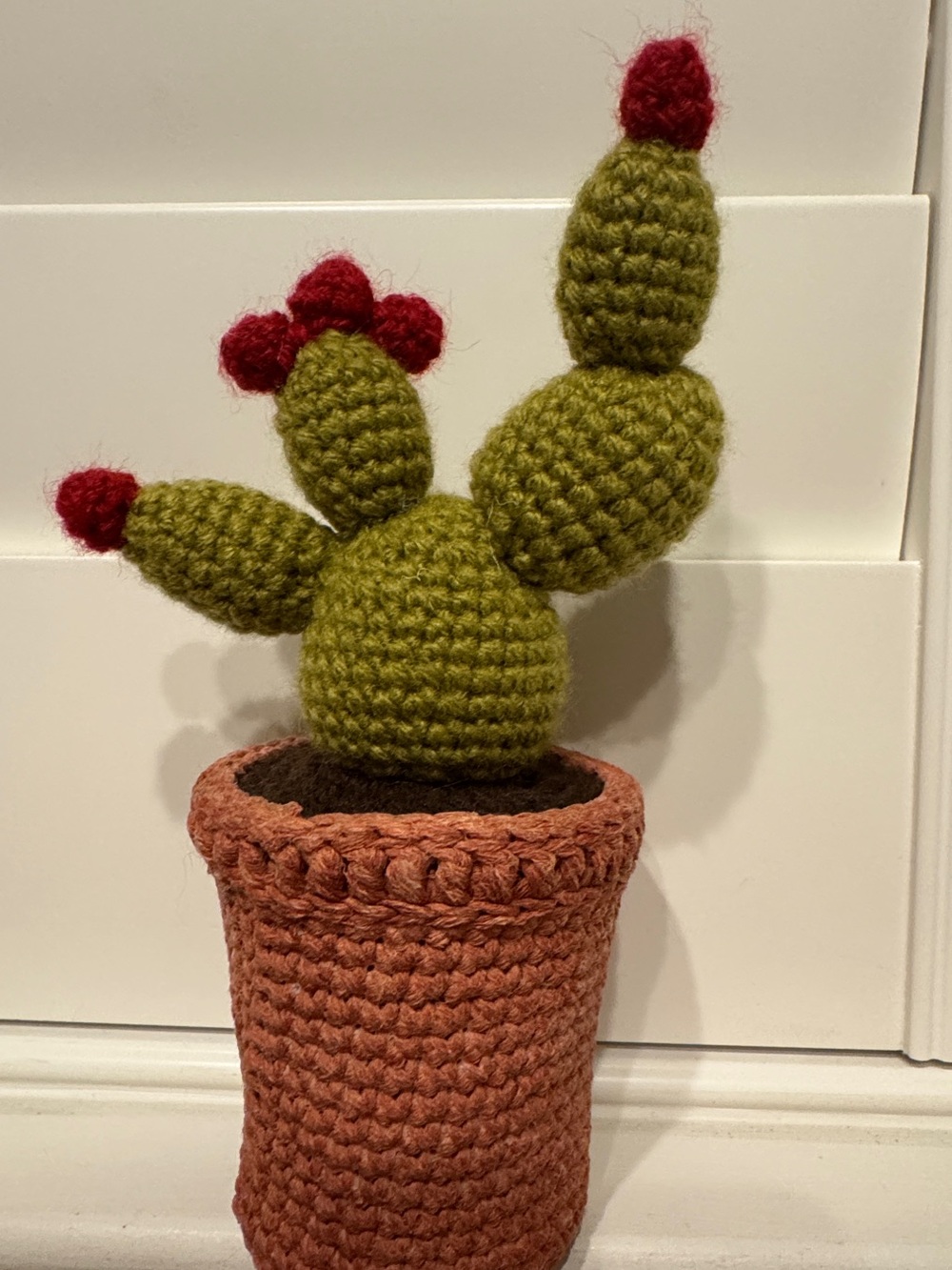 Mother’s Day Special- Crochet Cactus - Decorative Home Accents

Size: 8 “ x 4.5”